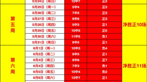 独家墨西哥战神5战，足球比赛信息，全胜，激情对决背后的真相